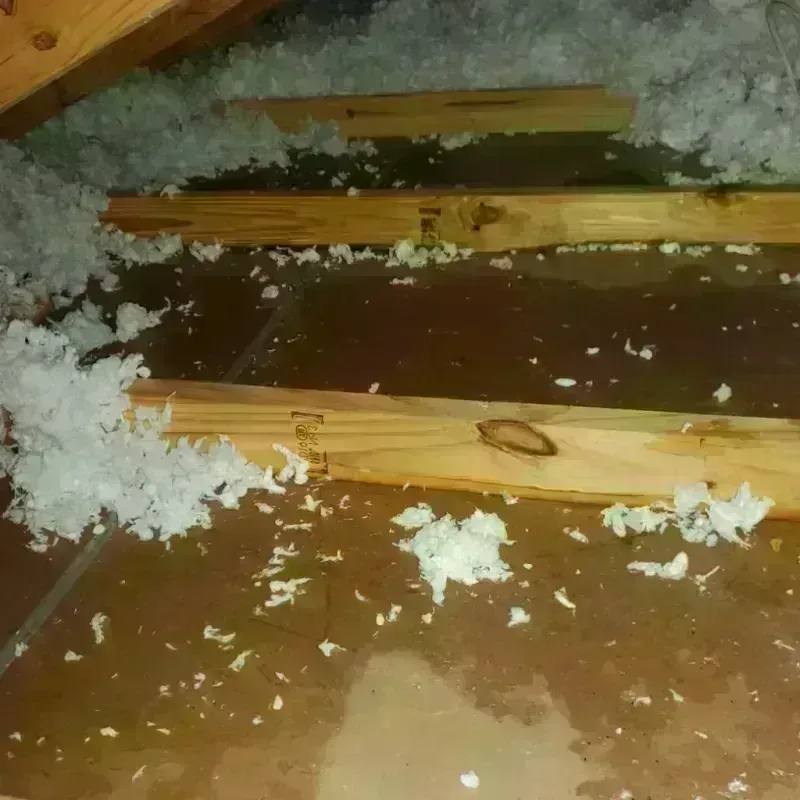 Attic Water Damage in Marion County, IL