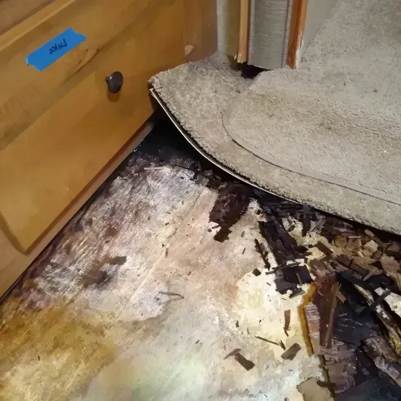 Wood Floor Water Damage in Marion County, IL